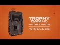 Bushnell Trophy Cam HD Wireless