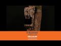 Bushnell Impulse Trail Camera