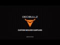 Decibullz Custom Molded Earplugs