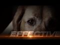 Dogtra 1900S Pr Eng Sound Mix 720P 20160128 Video