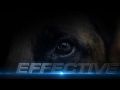 Dogtra Arc Pr Eng Sound Mix 720P 20160128 Video