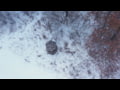 Hawk Down And Out Scout Blind