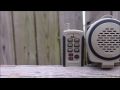 ICOTec Compact Elec Predator Call