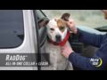 Nite Ize RadDog All-In-One Collar + Leash