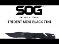 SOG Trident Mini CP Black Tini Folding Knife TF21-CP