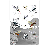 Image of Action Target Minnesota State Bird Mosquito Target Full Color 100 Per Case