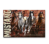 Image of American Expedition Mustang Graphic Canvas Art