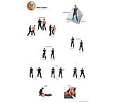 Image of ASP Training Support Reference Posters in Shipping Tube / Framed