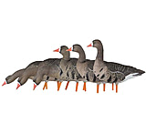 Image of Avian X Fusion Pack AXF Specklebelly