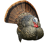 Image of Avian X LCD Strutter Decoy