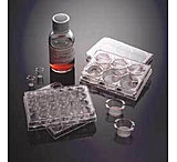 Image of Corning BioCoat Matrigel Matrix Cellware, 354460 Culture Dishes 35 Mm