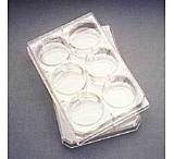 Image of Corning Falcon Multiwell Flat-Bottom Plates with Lids, Sterile, 353225