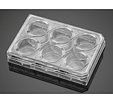 Image of BD Plate Amine 6-well 356721