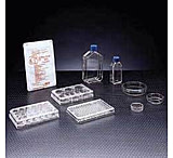 Image of BD Primaria Treated Labware, Sterile, BD Biosciences 353808 Culture Flasks With Vented Caps 25 cm2, Canted Neck