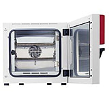Image of Binder Microbiology Incubators, BF Series, BINDER 9010-0238 Bf 115 Models