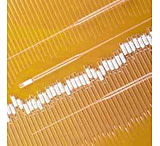 Image of Chase Scientific Disposable Pasteur Pipets, Glass, Plugged 63B14672-405 Soda-Lime Glass