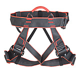 Image of Edelweiss Mygale