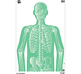 Image of EZ-Aim Fun Group Paper Target Assortment