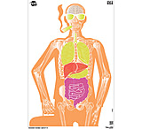 Image of EZ-Aim Fun Makin Bones About It Silhouette Paper Shooting Target