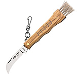 Image of Fox Mushroom Knife Olive Wood Folding Knife