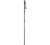 Image of Gitzo Carbon Monopod