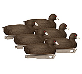 Image of Hard Core Field Series Coot