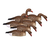 Image of Hard Core Field Series Blue Goose Shells