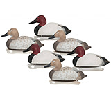 Image of Hard Core Rugged Canvasback