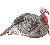 Image of Hunters Specialties Strut-Lite Jake Turkey Decoy