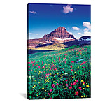 Image of iCanvas Reynolds Mountain, Lewis Range, Rocky Mountains, Glacier National Park, Montana, USA by Gareth McCormack Canvas Print