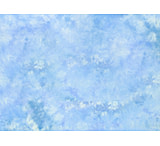 Image of Lastolite 10'x24' Washable Muslin Background - Maine LL LB7848