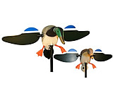 Image of Mojo Mallard Hen