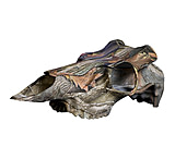 Image of Mountain Mike's Skull Master