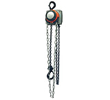 Image of CM Columbus McKinnon Hurricane Hand Chain Hoist 10 175-5645