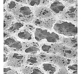 Image of Pall Nylaflo Membrane Disc Filters, Pall Life Sciences 66601, Pack of 100