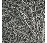 Image of Pallflex Emfab Filters, Pall Life Sciences 7223, Pack of 100