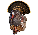Image of Rinehart Spot and Stalk Decoy