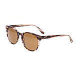 Image of Simplify Clark, Sunglasses