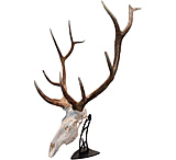 Image of Skull Hooker Big Table Hooker