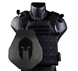 Image of Spartan Armor Systems Armor/Sentry Plate Carrier and AR500 Omega Body Armor Platform