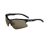 Image of Tifosi Roubaix Sun-Glasses
