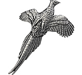 Image of TS Brown Small Pheasant Pin
