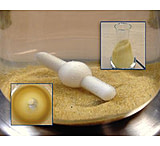 Image of VWR Spinbar Magnetic Stir Bars F371165002