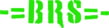 Bladerunners Systems 2021 Logo
