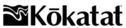 Kokatat