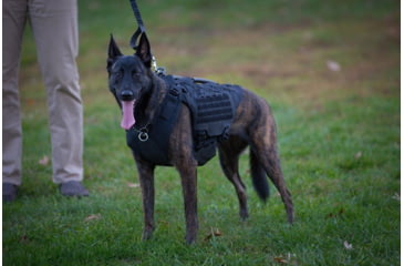 Image of 221B Tactical Titan Vest - K-9 Harness w/ Level IIIA K-9 Body Armor, Black, TTNV-WA-BLK