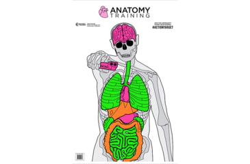 Image of Action Target GS-ANATOMY-100 Anatomy Training Target Paper 23 X 35 Silhoue