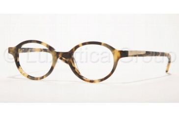 Image of AK Anne Klein AK8077 Eyeglasses with Rx Prescription Lenses 191-4218 - Japanese Tortoise 