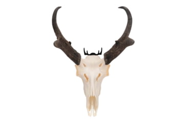 Image of Allen Trophy Wall Hook 2 Pack, 5625