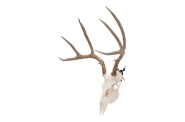 Image of Allen Trophy Wall Hook 2 Pack, 5625